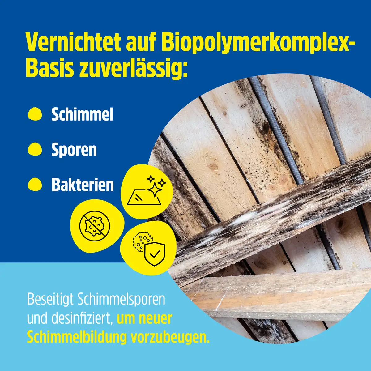 GreenHero Schimmelwunder, 500 ml GreenHero Schimmelwunder, 500 ml