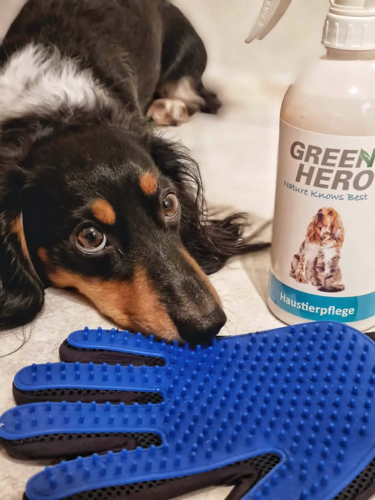 greenhero_anwendung_pflegehandschuh_haustierpflege Enthaarungs- und Pflegehandschuhe für Hunde und Katzen zum Entfernen von Unterwolle
