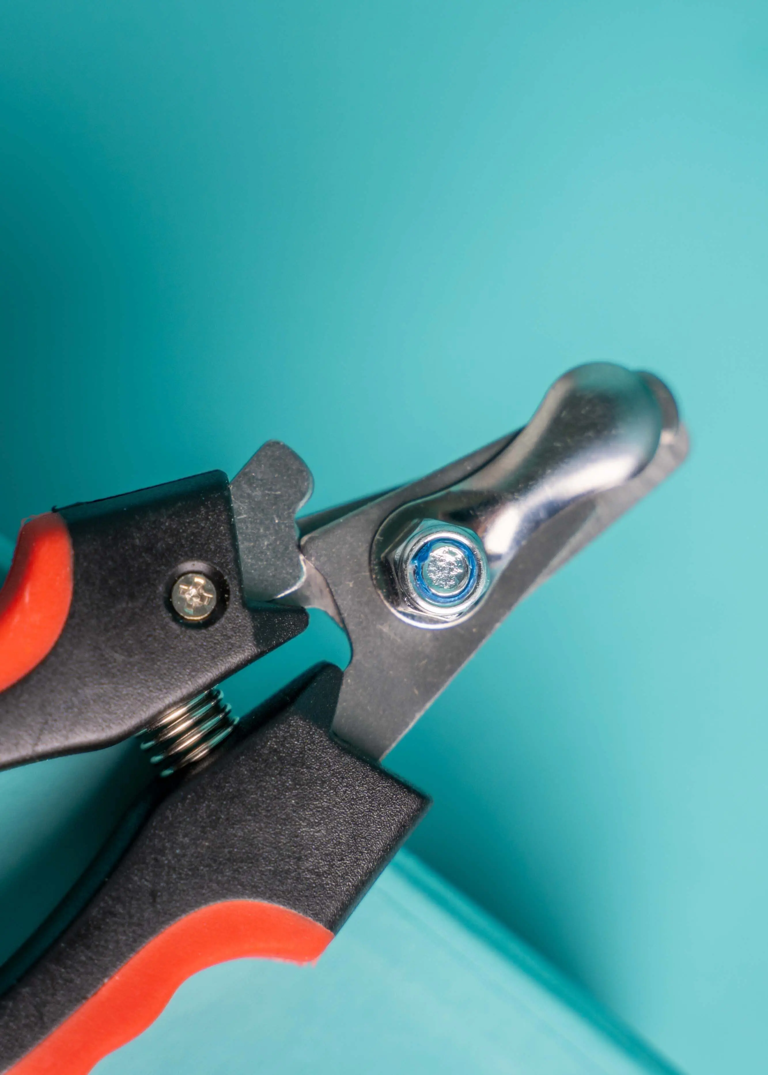 Krallenzange_03 Krallenschere für Hunde und Katzen