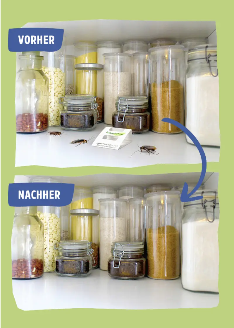Insektenfalle | Schabenfalle | Kakerlakenfalle | 10 Stück Insektenfalle | Schabenfalle | Kakerlakenfalle | 10 Stück