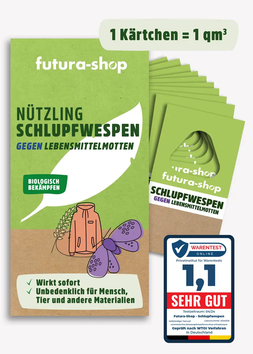 Schlupfwespen gegen Lebensmittelmotten
