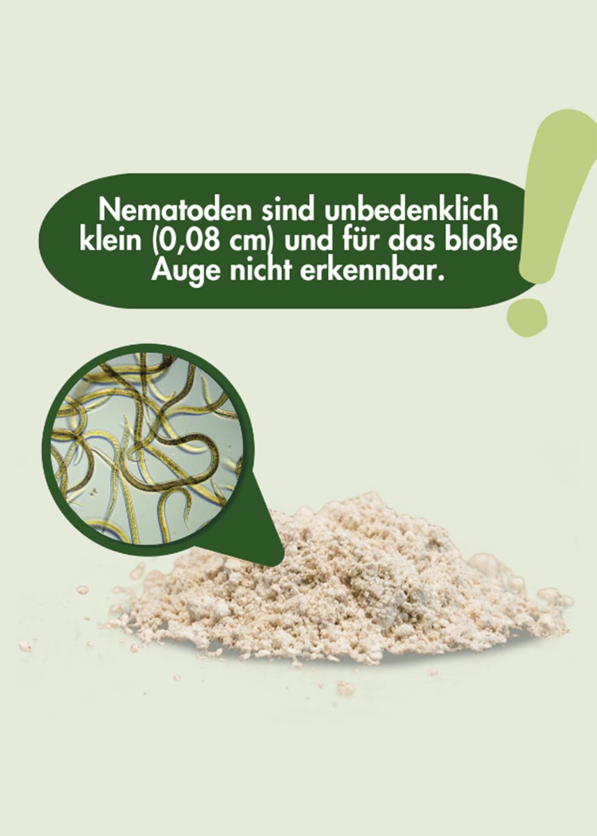 SC Nematoden gegen Wiesenschnake SC Nematoden gegen Wiesenschnake