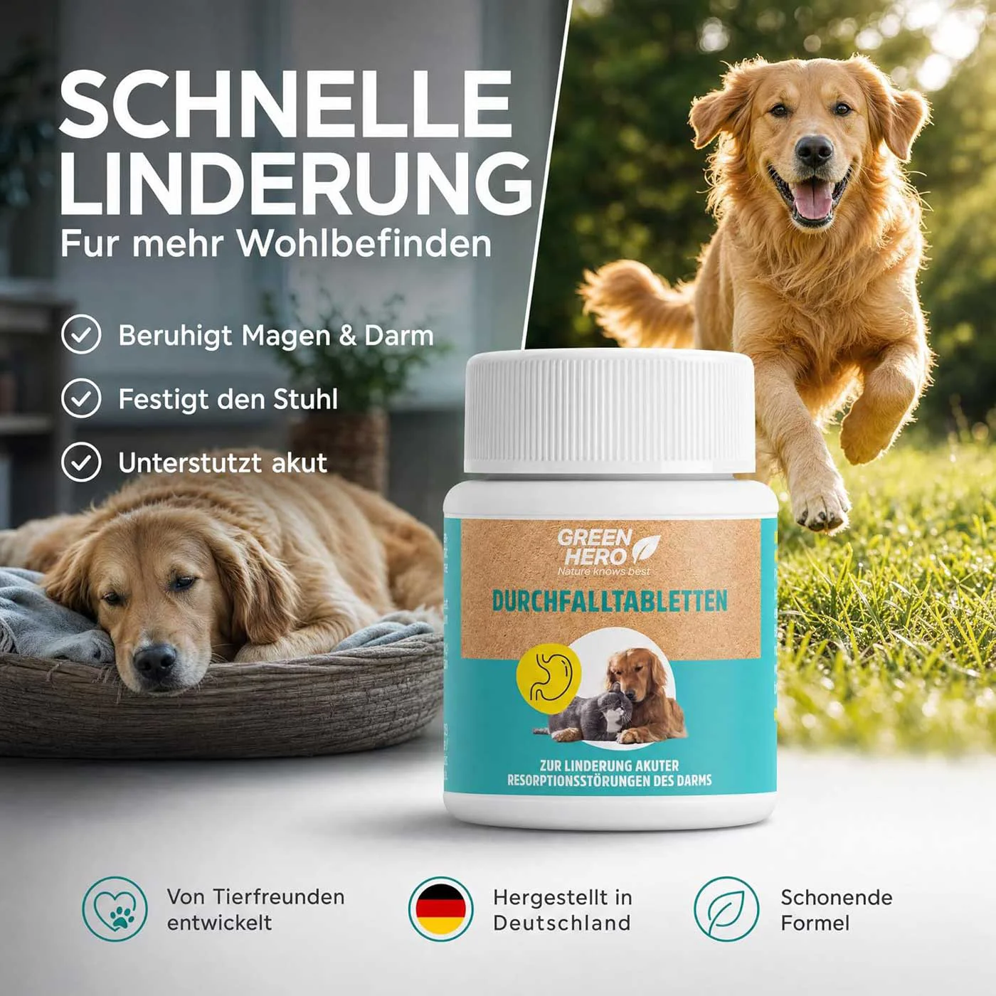 Durchfalltabletten für Hunde und Katzen | 60 Tabletten Durchfalltabletten für Hunde und Katzen | 60 Tabletten