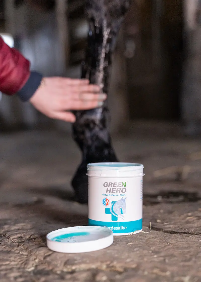 greenhero_pferdesalbe_anwendung_10 Pferdesalbe - Kühlender Balsam für dein Pferd