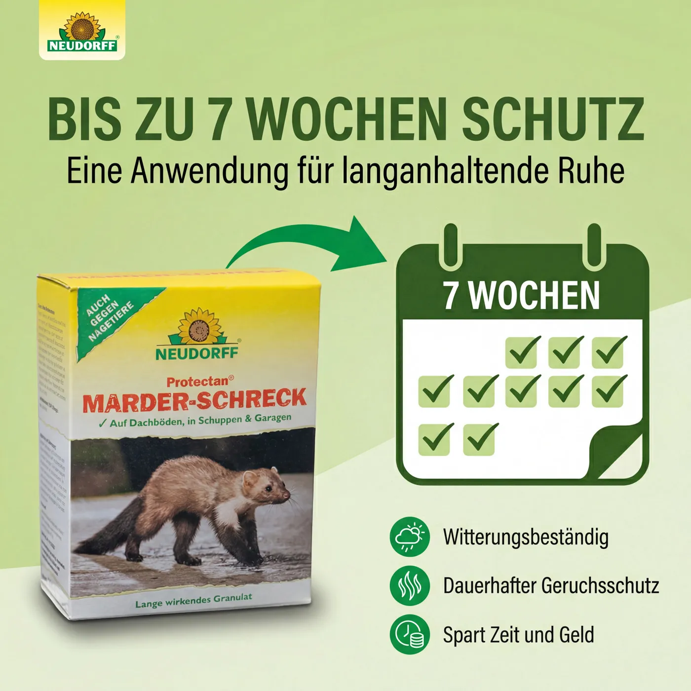 Marderschreck Marderschreck