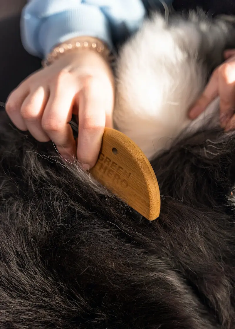 greenhero_flohkamm_anwendung_05 Flohkamm und Läusekamm für Hunde und Katzen