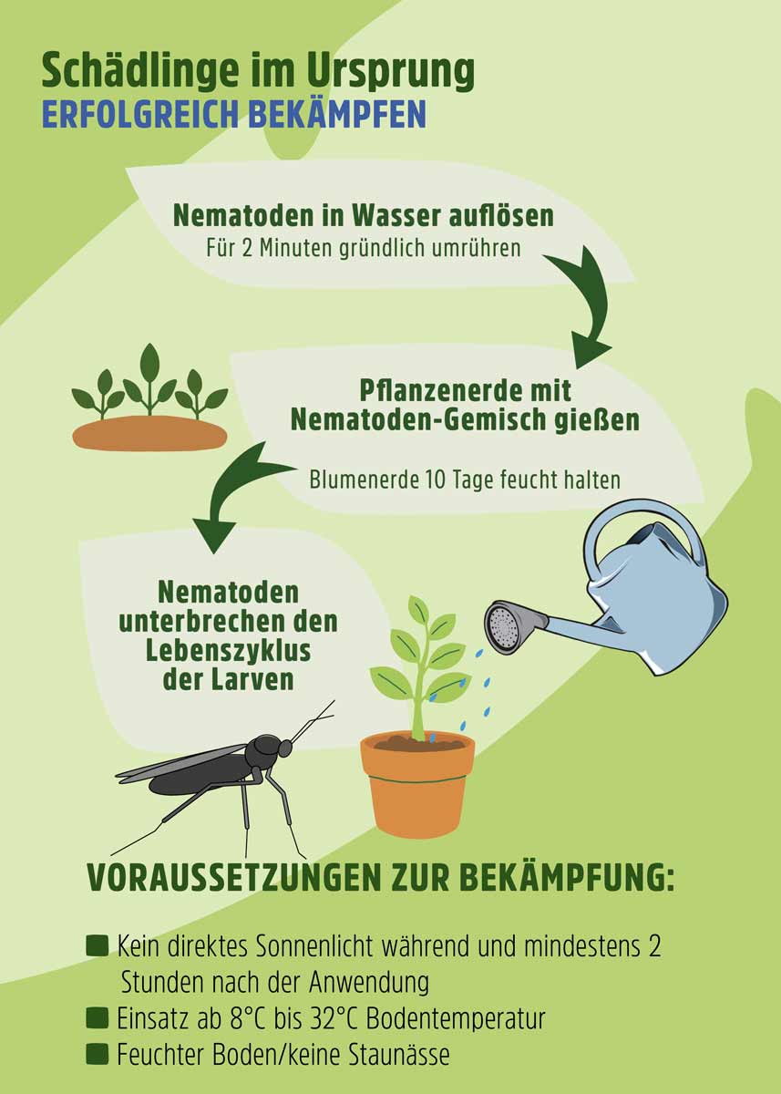 SF Nematoden gegen Trauermücken SF Nematoden gegen Trauermücken