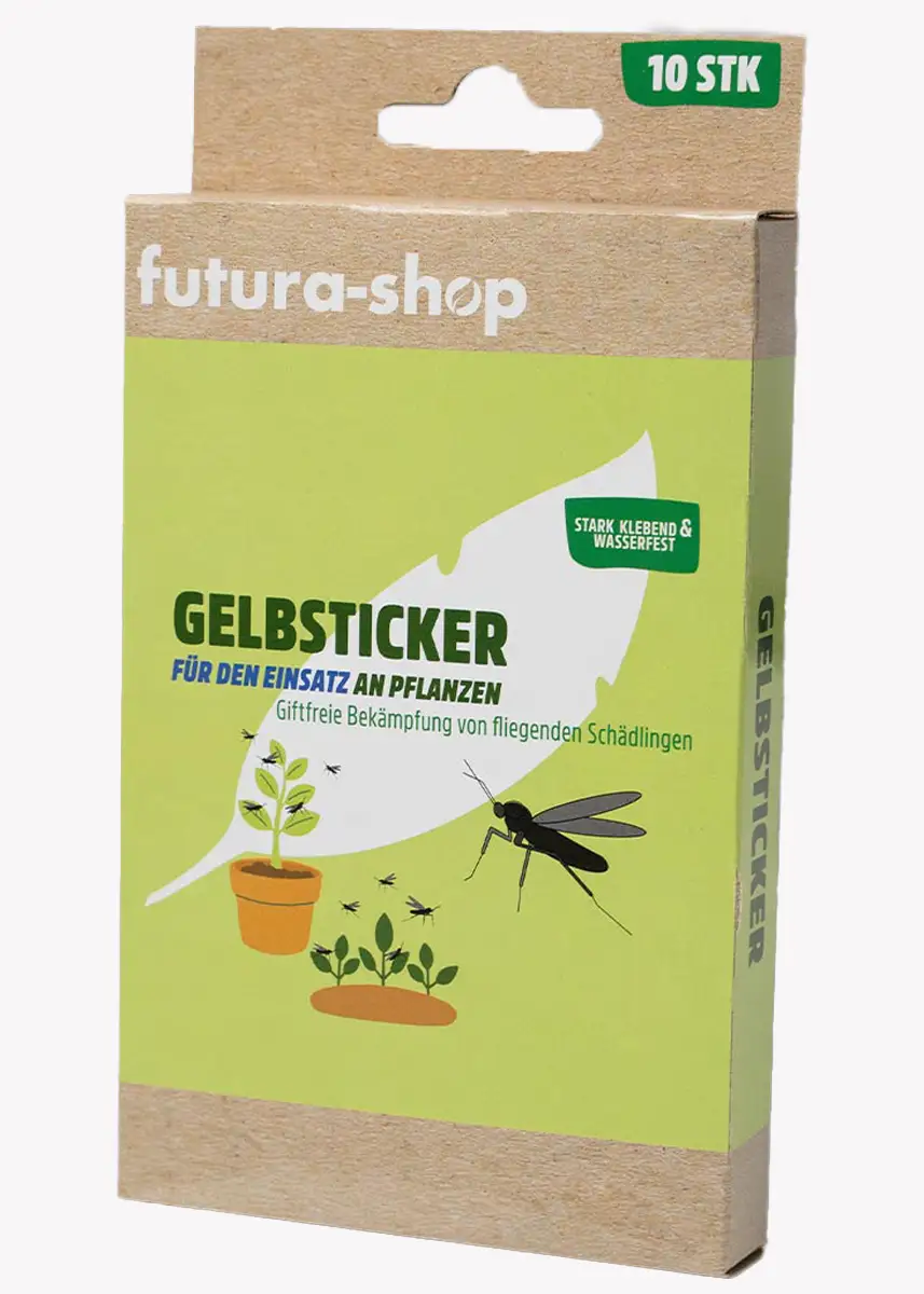 Gelbsticker gegen Fliegen und Schädlinge an Zimmerpflanzen
