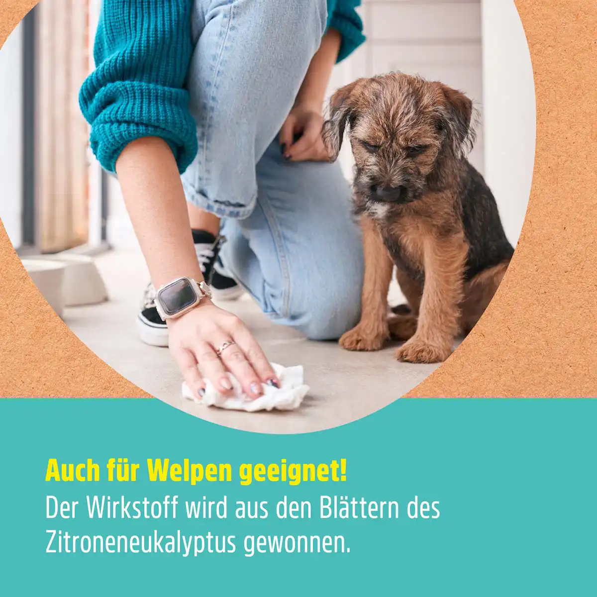 Katzenschreck & Hundeschreck | Fernhaltespray Katzenschreck & Hundeschreck | Fernhaltespray