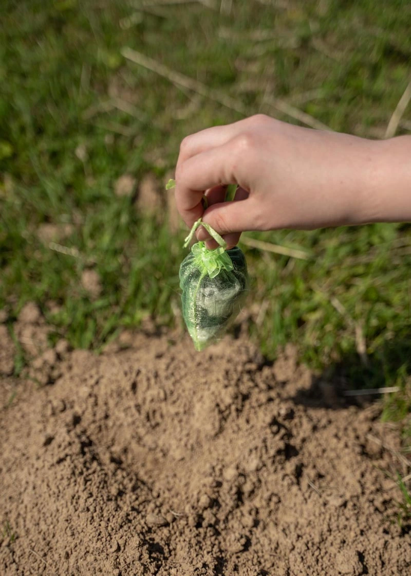 06_DSC06566 Maulwurfschreck
