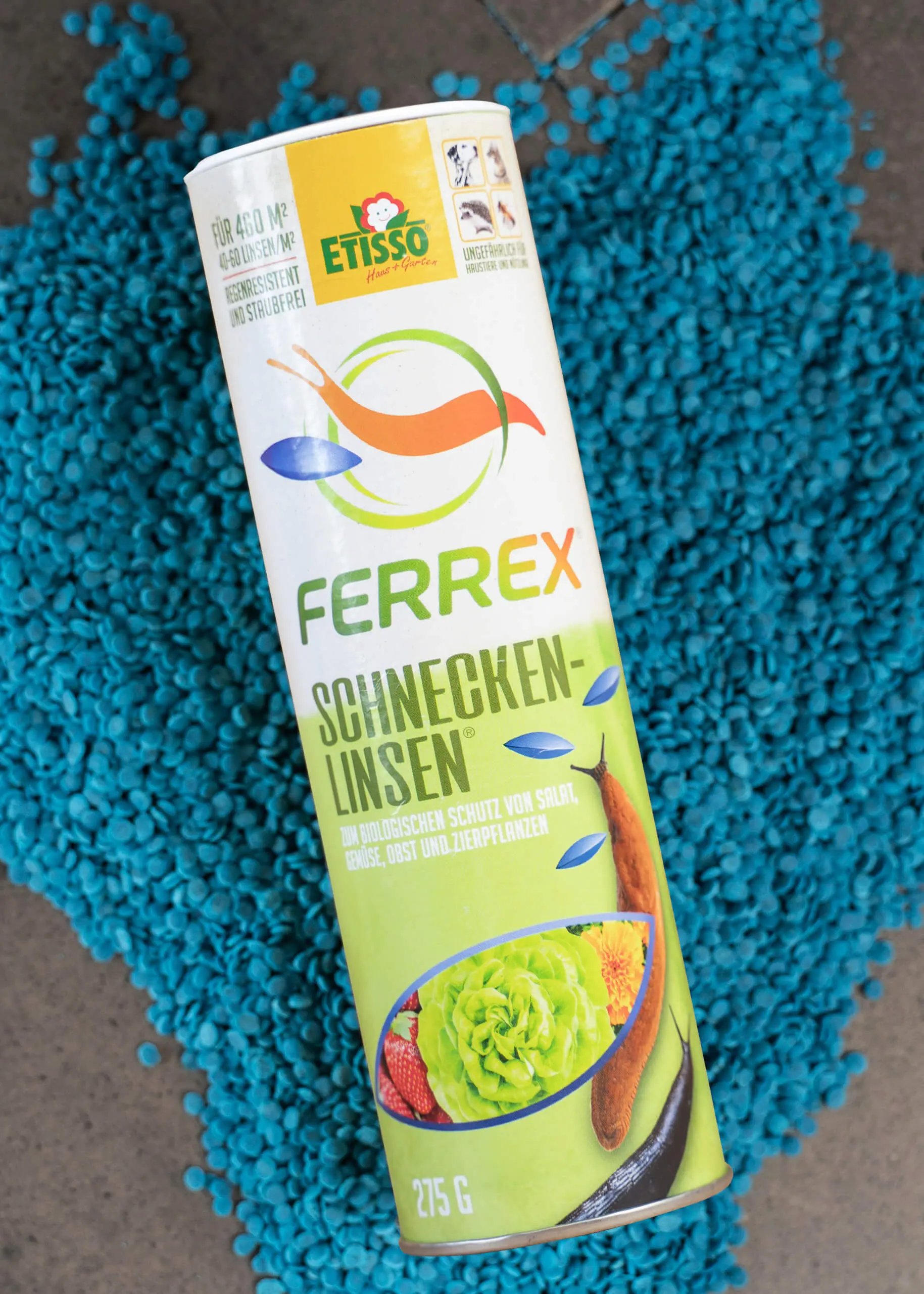 Schnecken-Linsen_01 Schnecken-Linsen | gegen Nacktschnecken