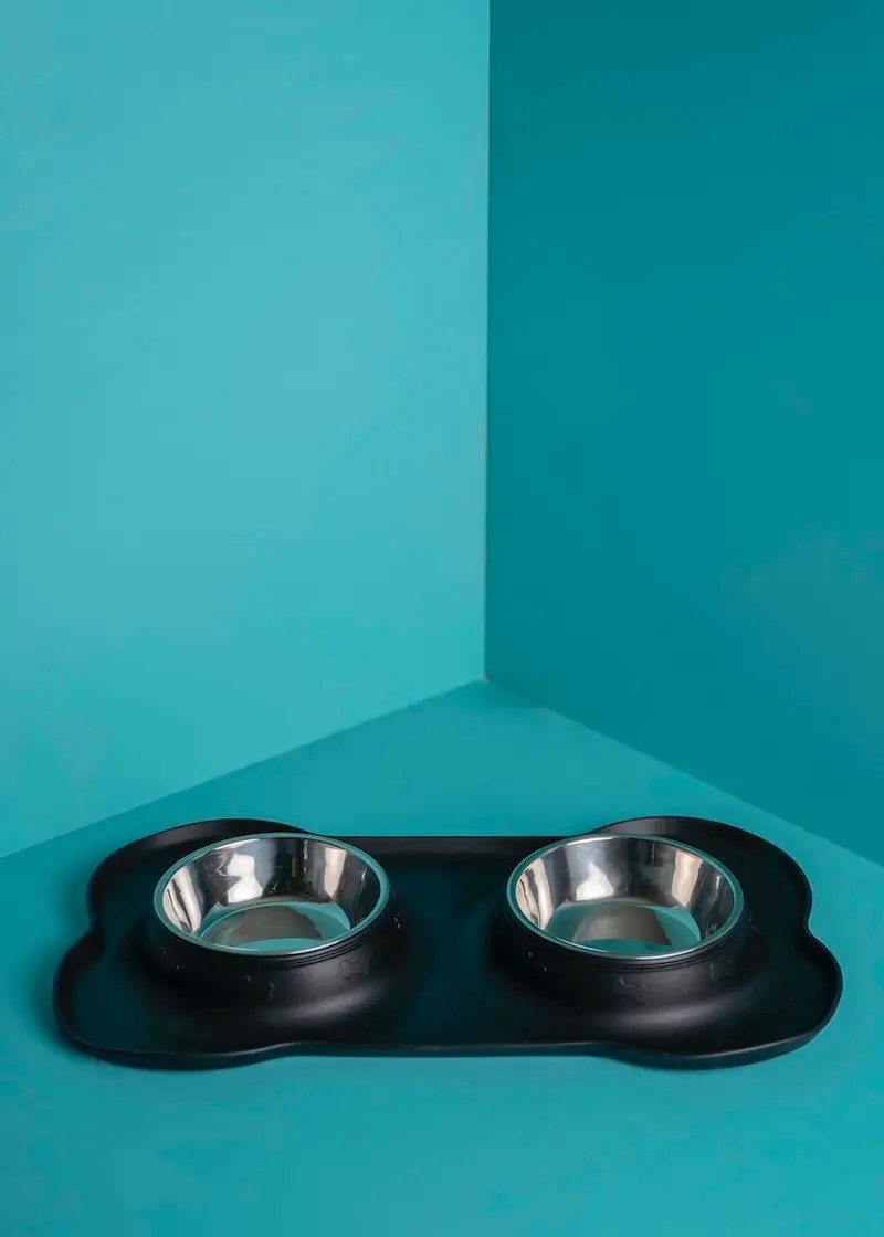 Futternapf-Trinknapf_01 Futter- und Trinknapf mit Silikonmatte