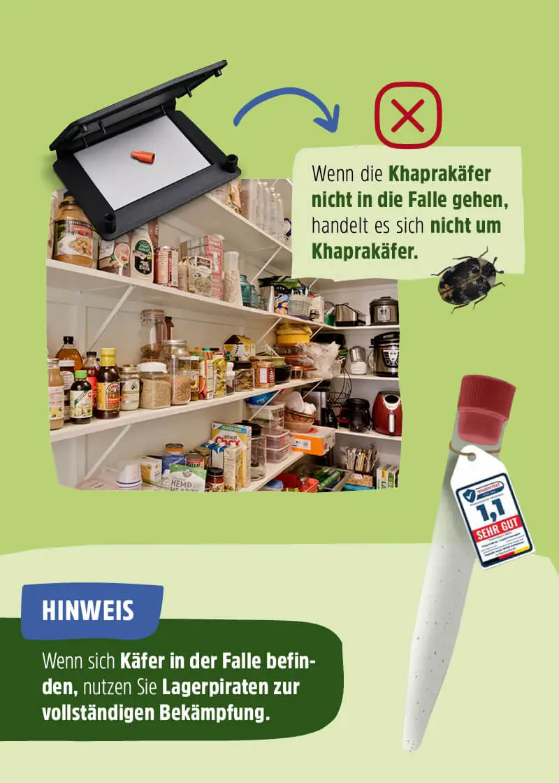 Speckkäfer | Khaprakäfer Pheromonfalle Speckkäfer | Khaprakäfer Pheromonfalle