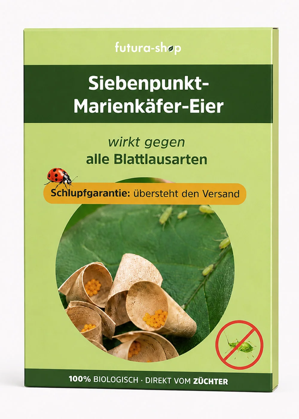 Siebenpunkt-Marienkäfer-Eier gegen Blattläuse