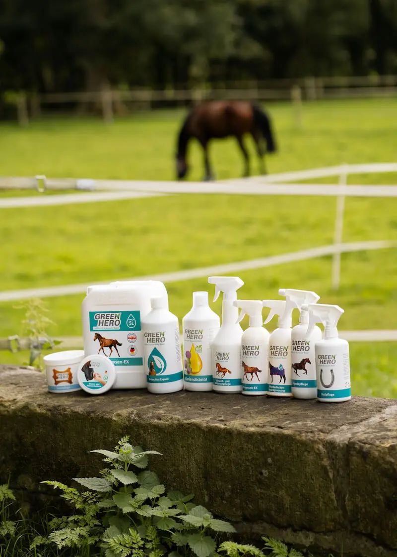 greenhero_pferde_gruppe_lifestyle Hufpflege für Pferde pflegt bei Strahlfäule und Mauke
