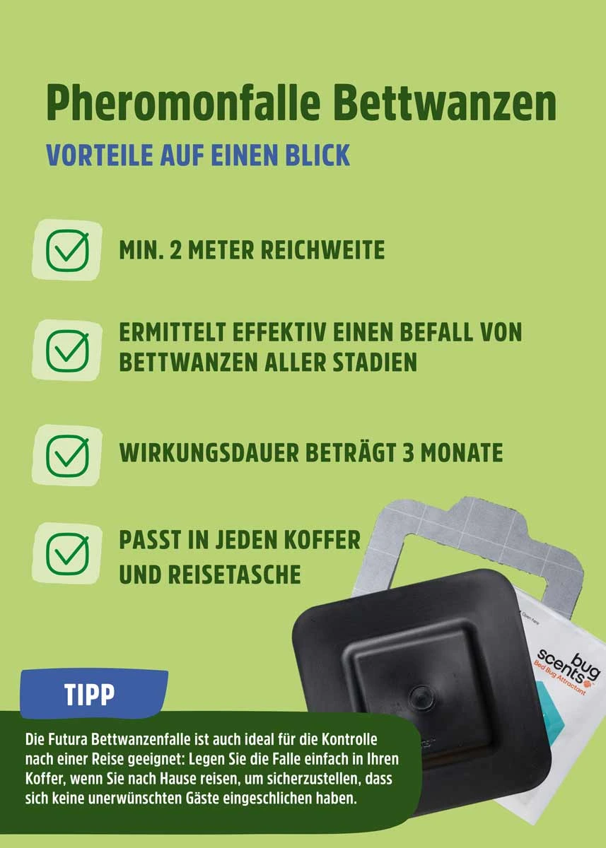 Bettwanzen Falle  Bettwanzen Falle