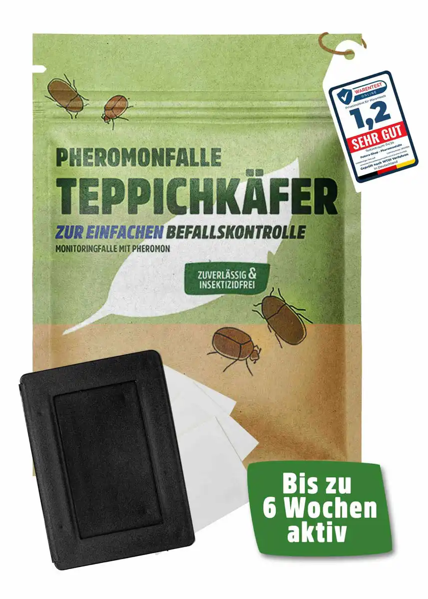 Teppichkäfer Pheromonfalle