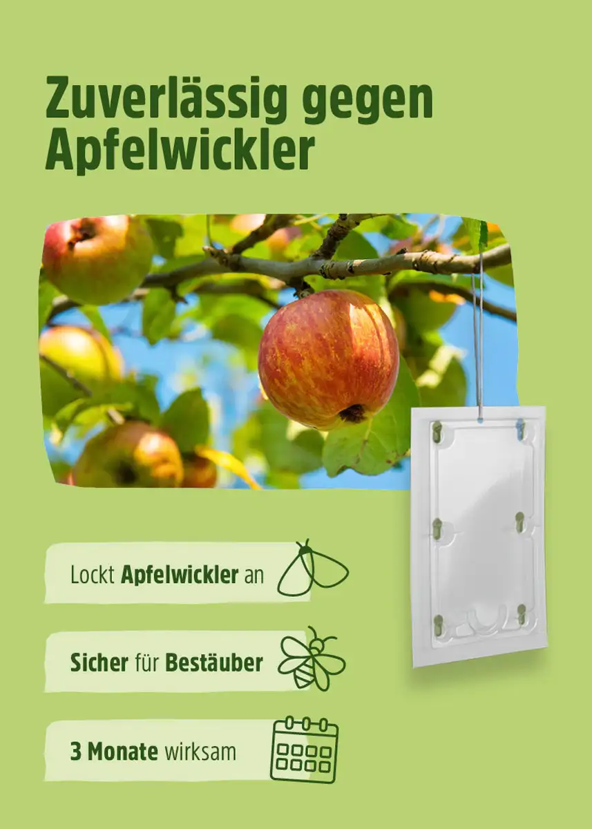 FS Apfelwickler Falle, 2er Set FS Apfelwickler Falle, 2er Set