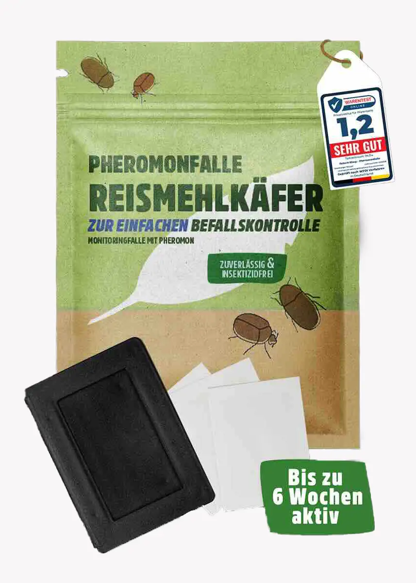 Reismehlkäfer Pheromonfalle
