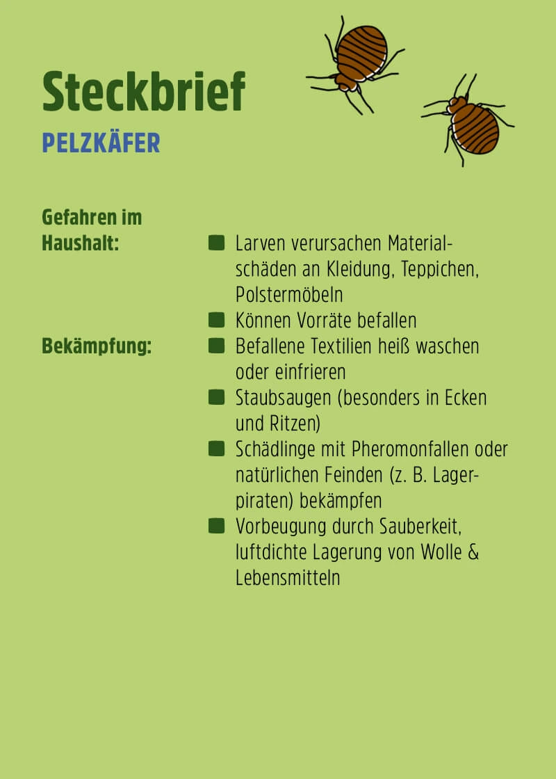 Pelzkäfer Pheromonfalle | Klebefalle Pelzkäfer Pheromonfalle | Klebefalle