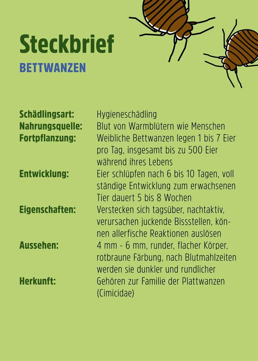 Bettwanzen Falle  Bettwanzen Falle