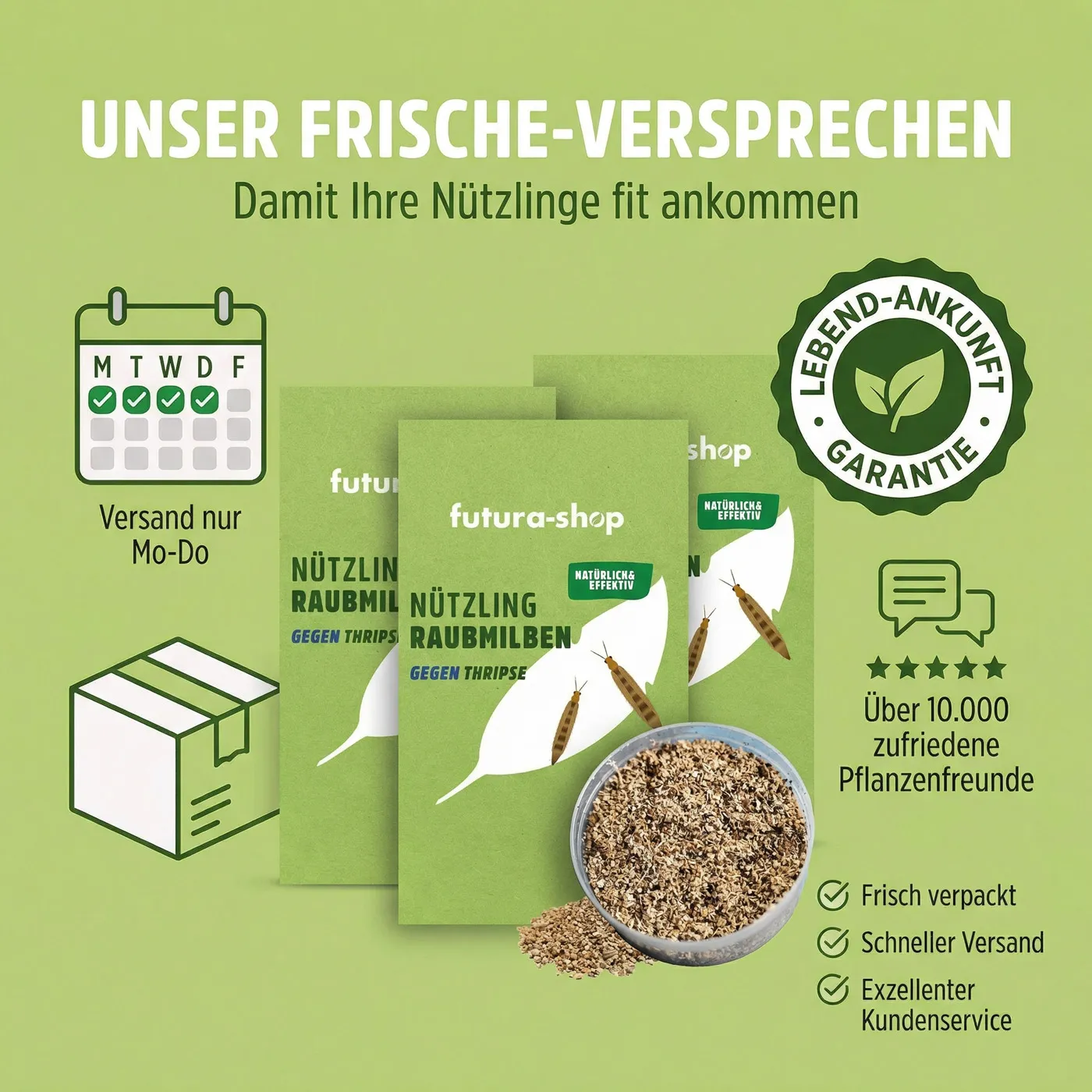 Raubmilben gegen Thripse