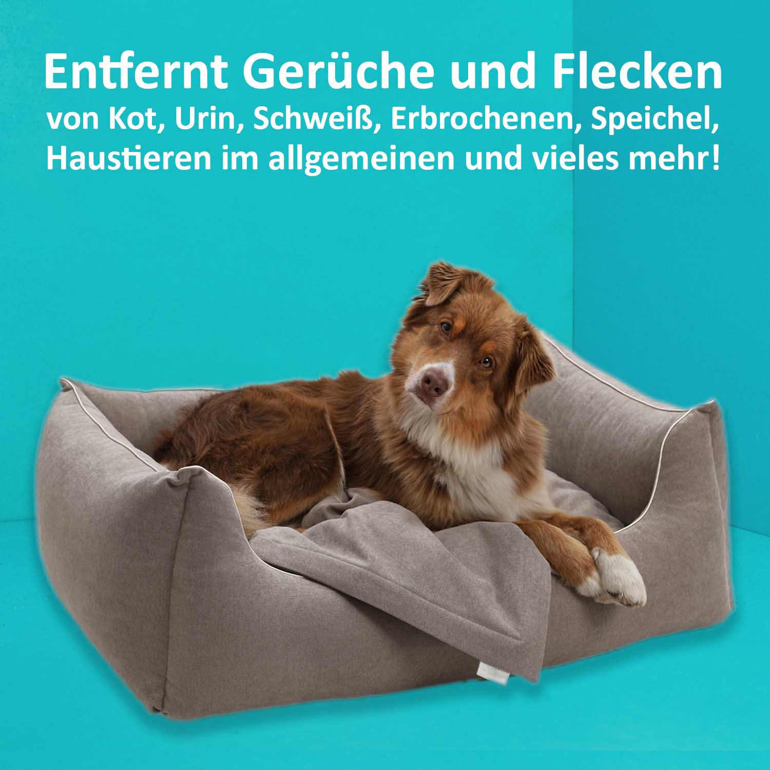 04_Green-Hero_Geruchs-und-Fleckenentferner_Anwendungsbild