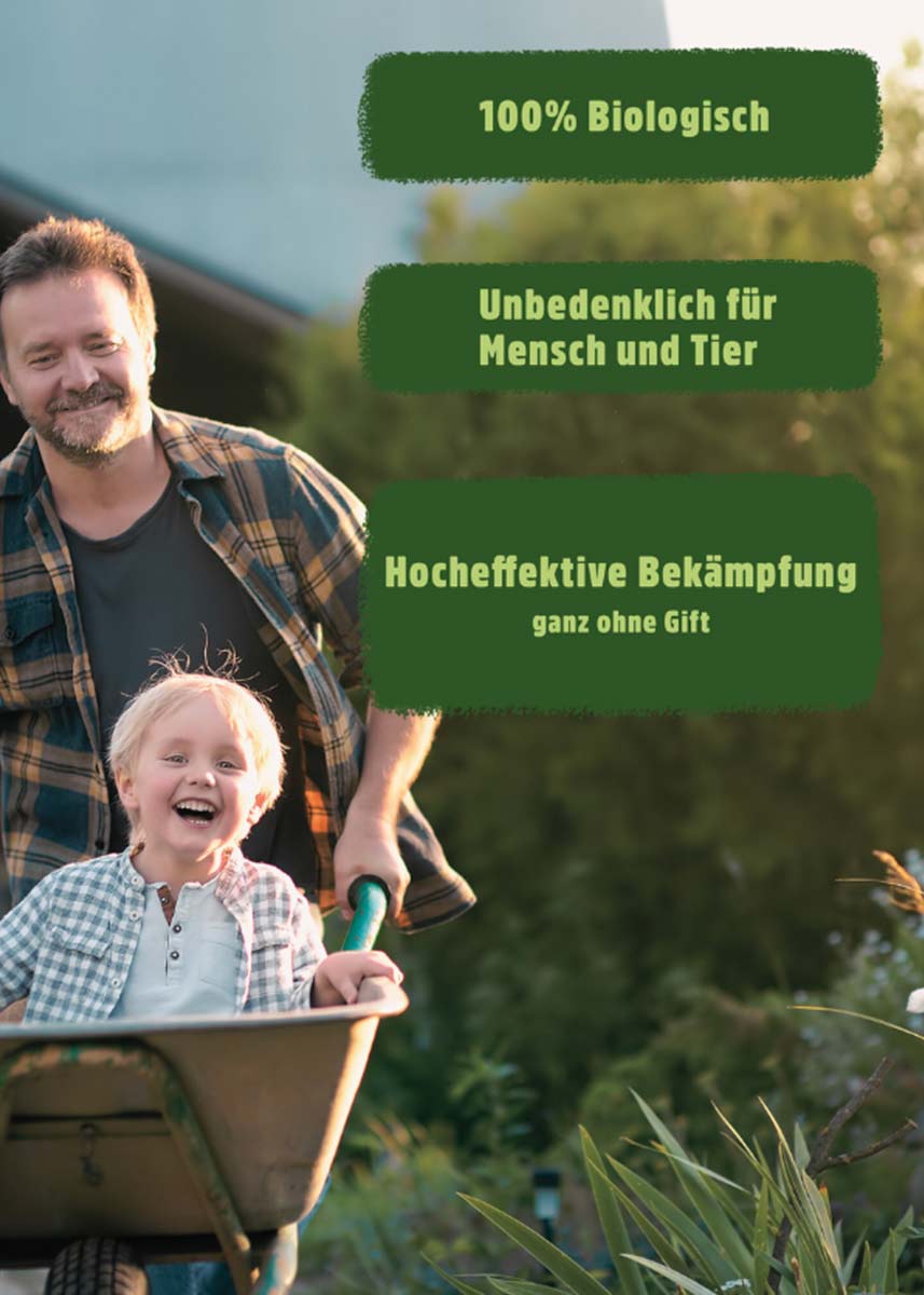 Kleidermotten Falle | Klebefalle | Pheromonfalle Kleidermotten Falle | Klebefalle | Pheromonfalle