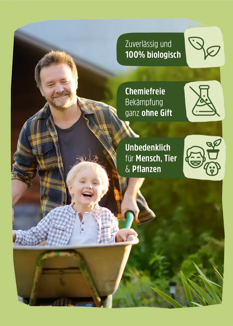 Insektenfalle | Schabenfalle | Kakerlakenfalle | 10 Stück Insektenfalle | Schabenfalle | Kakerlakenfalle | 10 Stück