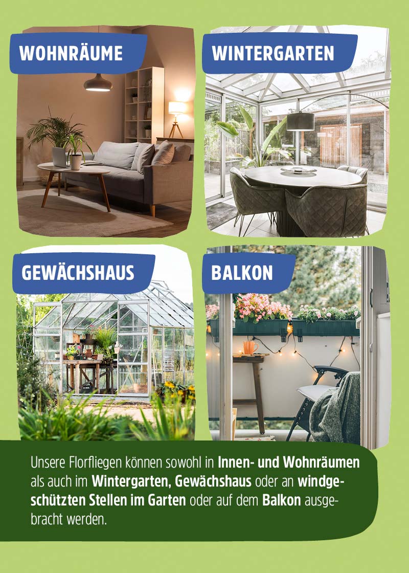 Florfliegenlarven | Nützlinge gegen Blattläuse & Wollläuse Florfliegenlarven | Nützlinge gegen Blattläuse & Wollläuse