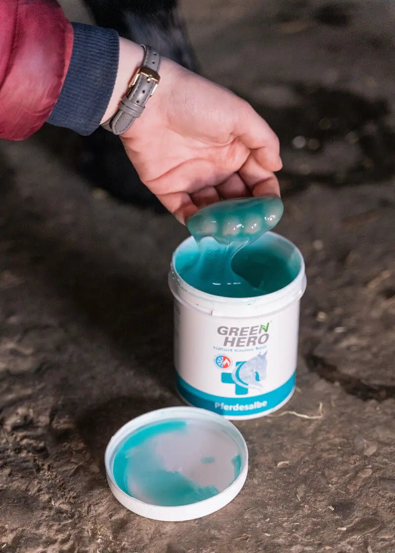 greenhero_pferdesalbe_anwendung_05 Pferdesalbe - Kühlender Balsam für dein Pferd