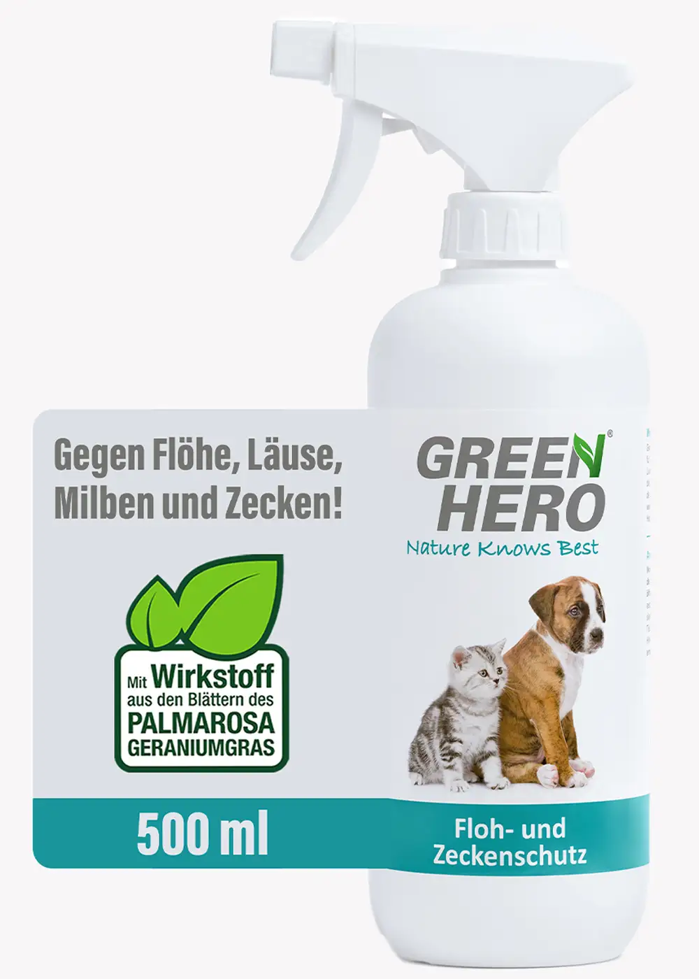 Floh- und Zeckenschutz für Hunde und Katzen
