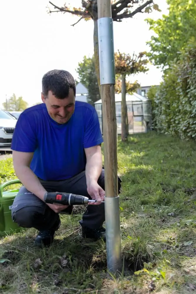 GreenHero Greifvogel Ansitzstange