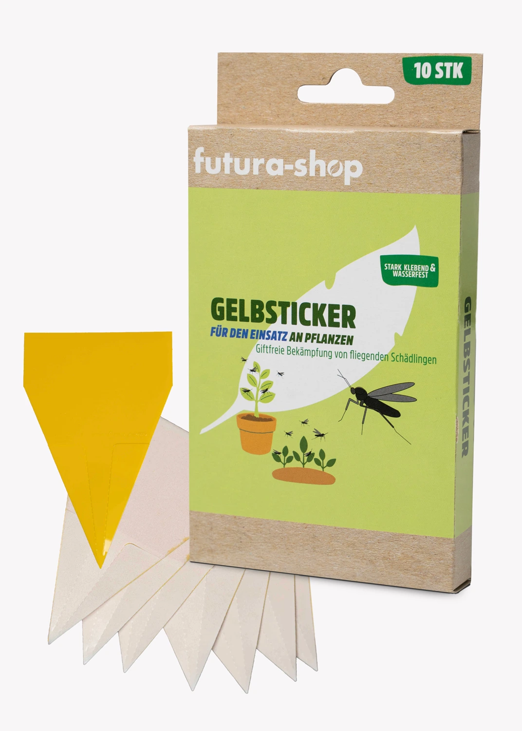 Gelbsticker gegen Fliegen und Schädlinge an Zimmerpflanzen