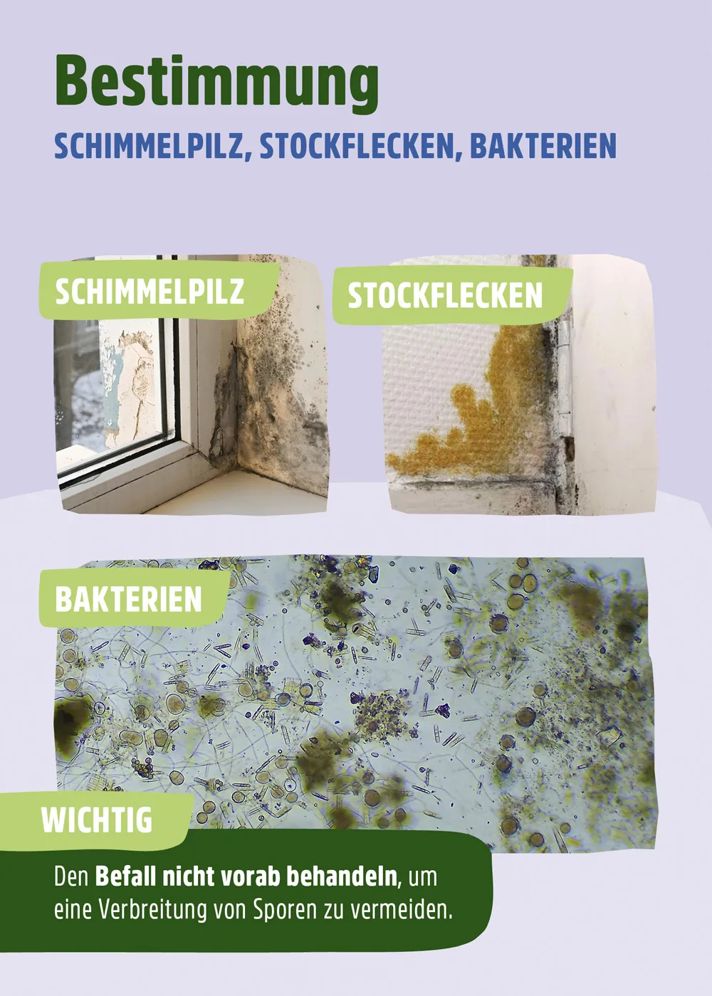 Schimmelentferner Chlorfrei