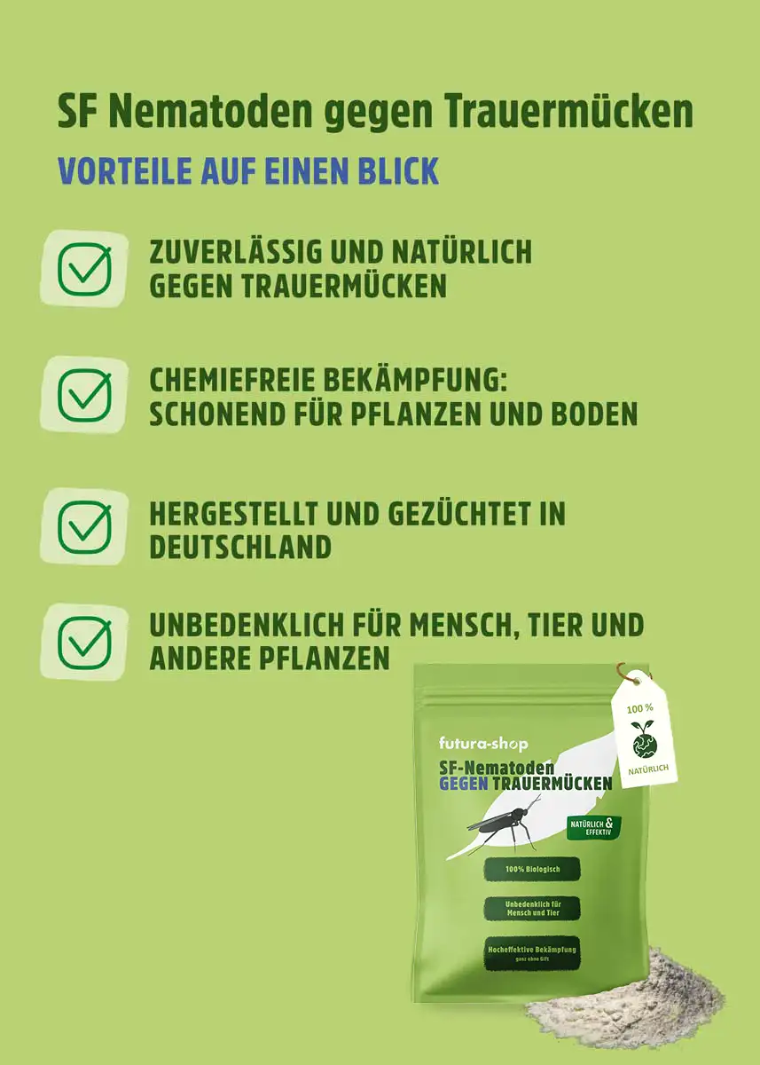 SF Nematoden gegen Trauermücken SF Nematoden gegen Trauermücken