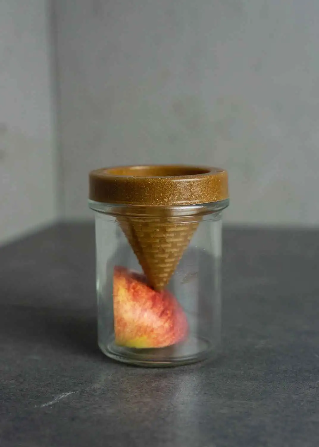 Fruchtfliegen-Lebendfalle6 Natürliche Fruchtfliegen Lebendfalle