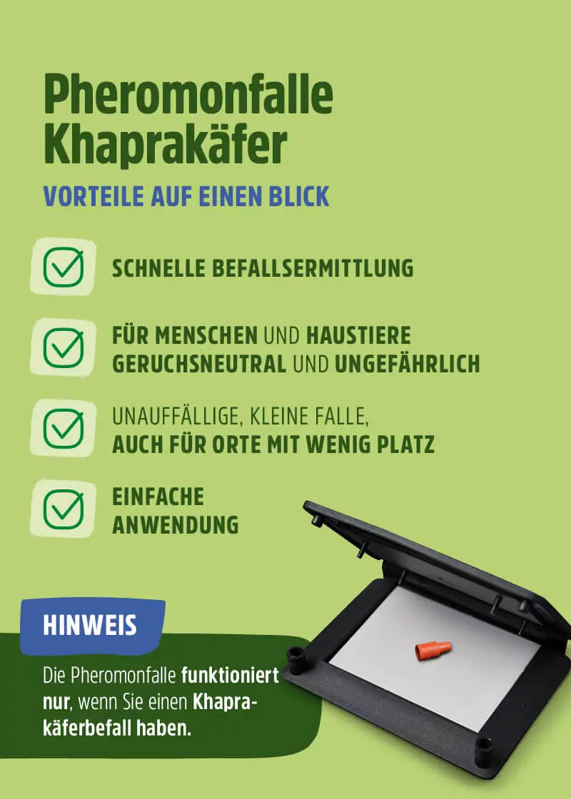 Speckkäfer | Khaprakäfer Pheromonfalle Speckkäfer | Khaprakäfer Pheromonfalle