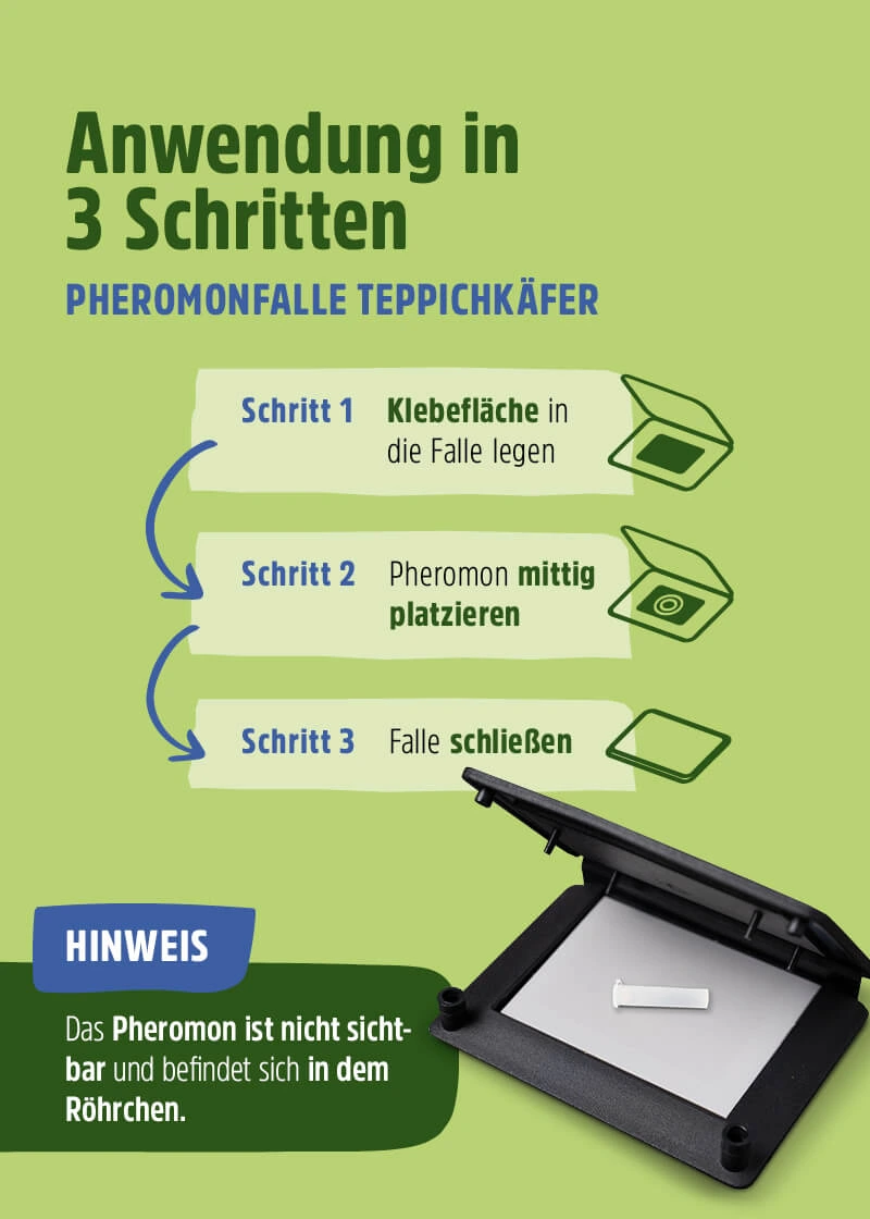 Teppichkäfer Pheromonfalle Teppichkäfer Pheromonfalle