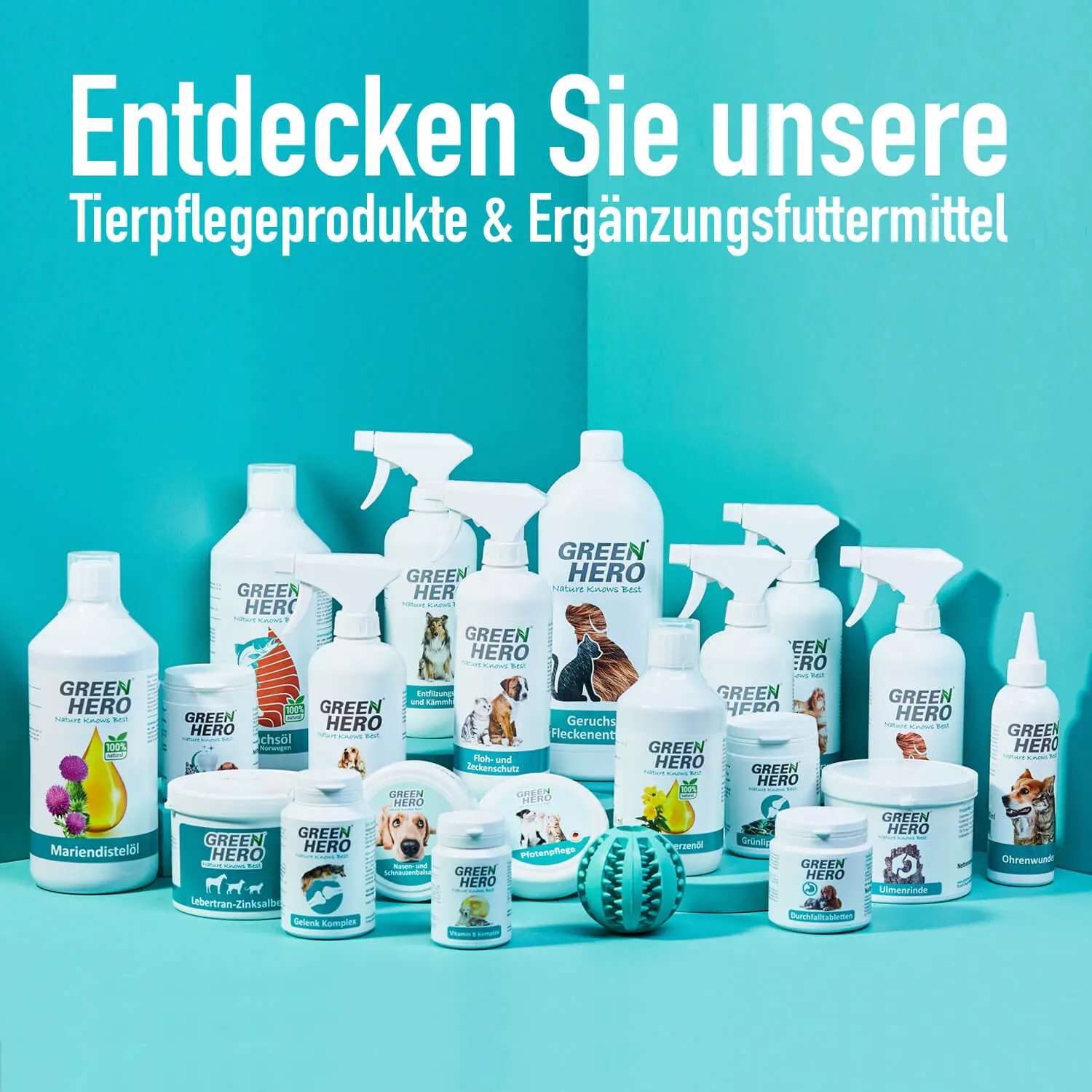 Giardien-Ex Spray gegen Giardien, Bakterien, Viren und Pilze