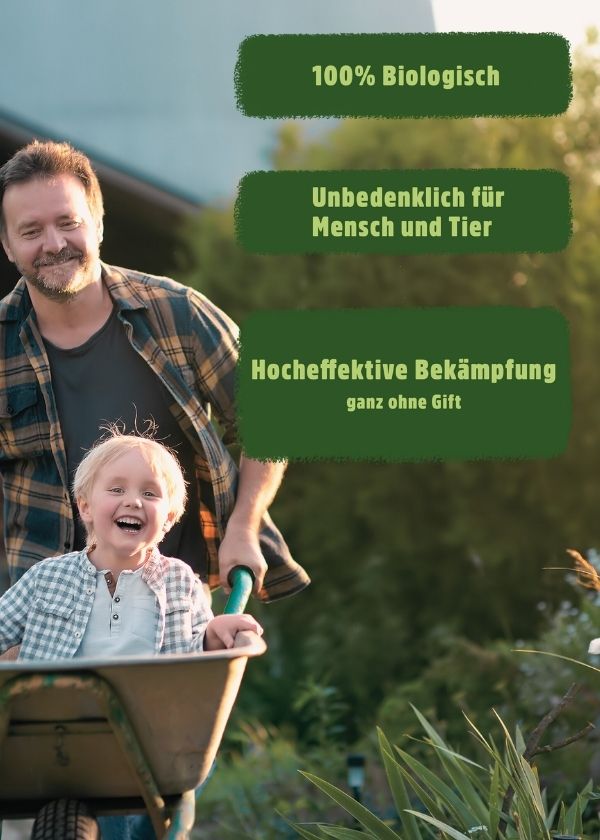 reismehlkaefer_bekaempfen Reismehlkäfer Pheromonfalle