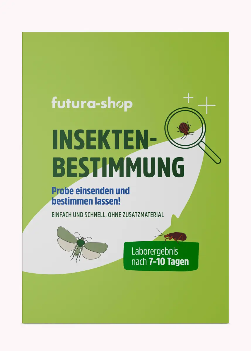 Insektenbestimmung - Welchen Schädling haben Sie zu Hause?
