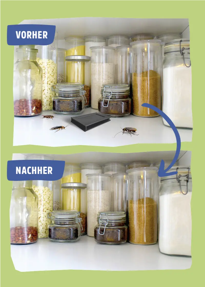 Schabenfalle | Kakerlakenfalle | Klebefalle Schaben Schabenfalle | Kakerlakenfalle | Klebefalle Schaben