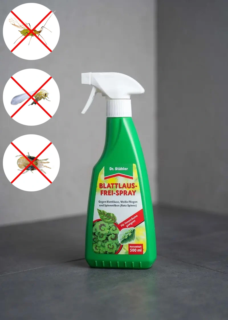 Blattlaus-Frei | Spray gegen Blattläuse, Weiße Fliegen & Spinnmilben