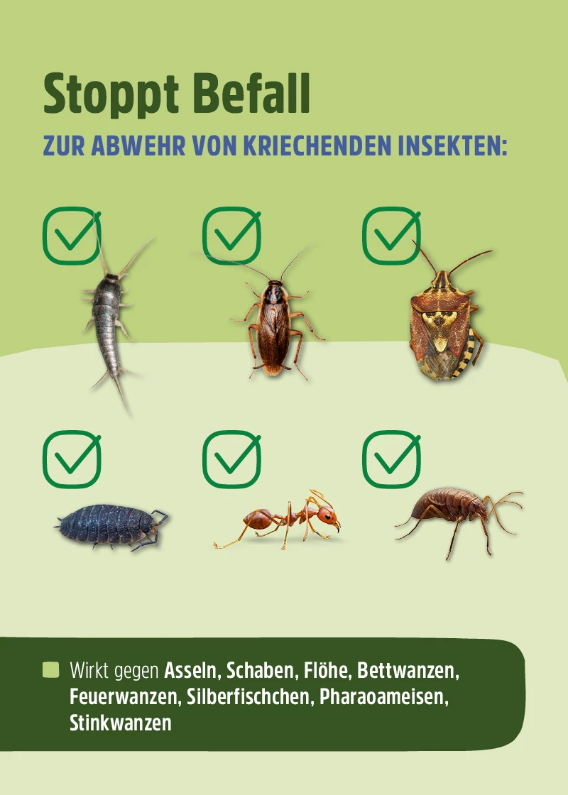 Insektenspray | Stoppt den Befall Insektenspray | Stoppt den Befall