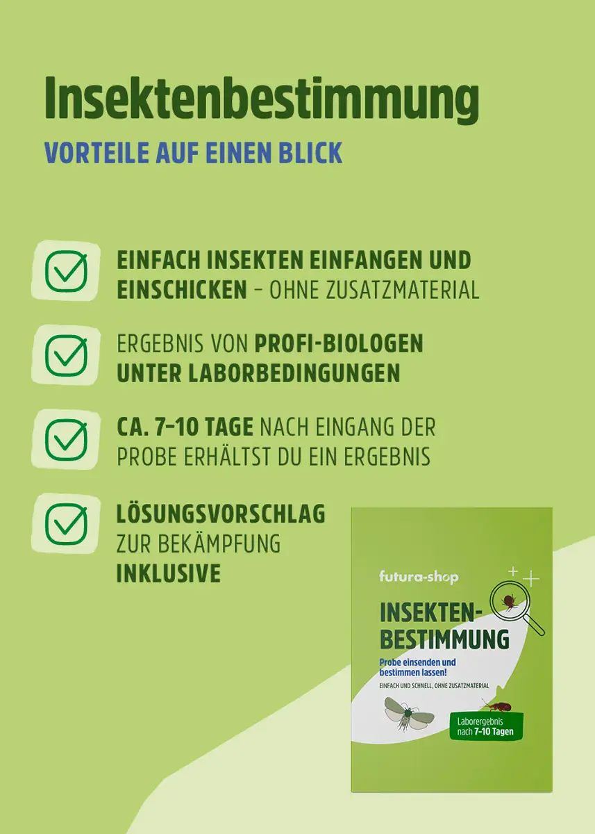 Insektenbestimmung - Welchen Schädling haben Sie zu Hause? Insektenbestimmung - Welchen Schädling haben Sie zu Hause?