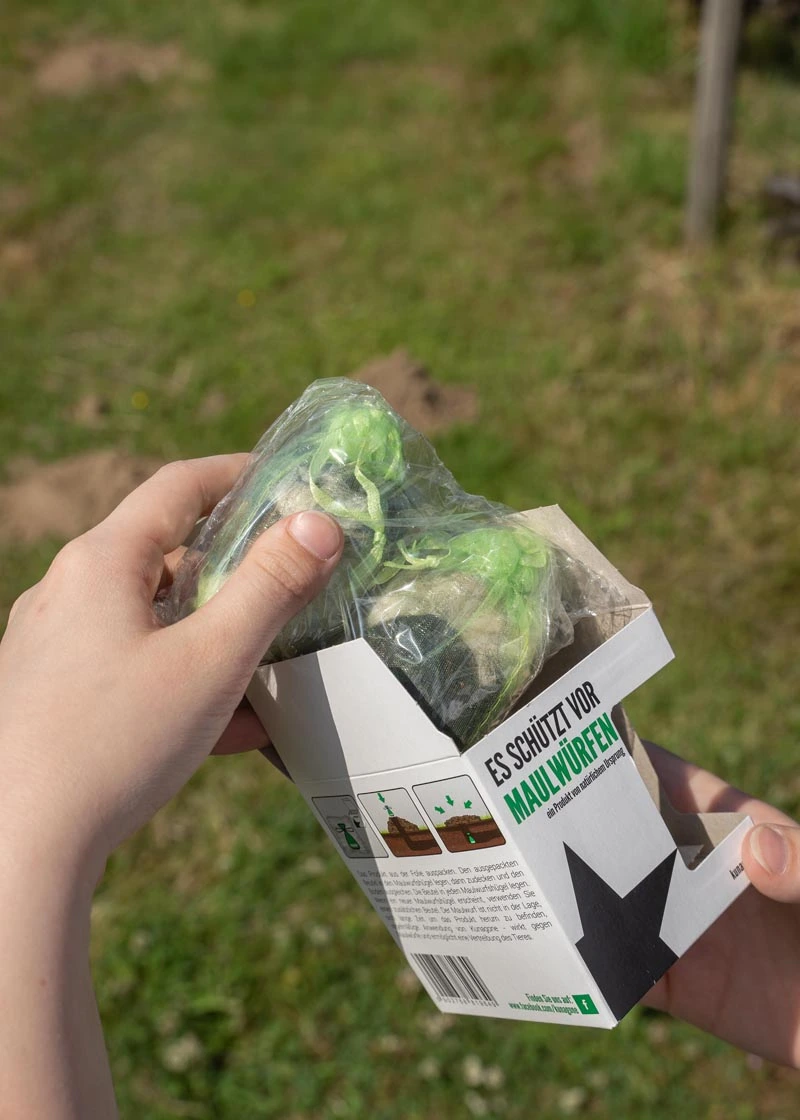 03_DSC06549 Maulwurfschreck