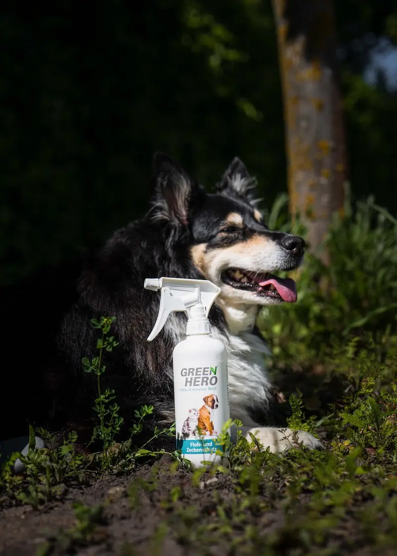 greenhero_floh-zeckenschutz_anwendung_01 Floh- und Zeckenschutz für Hunde und Katzen