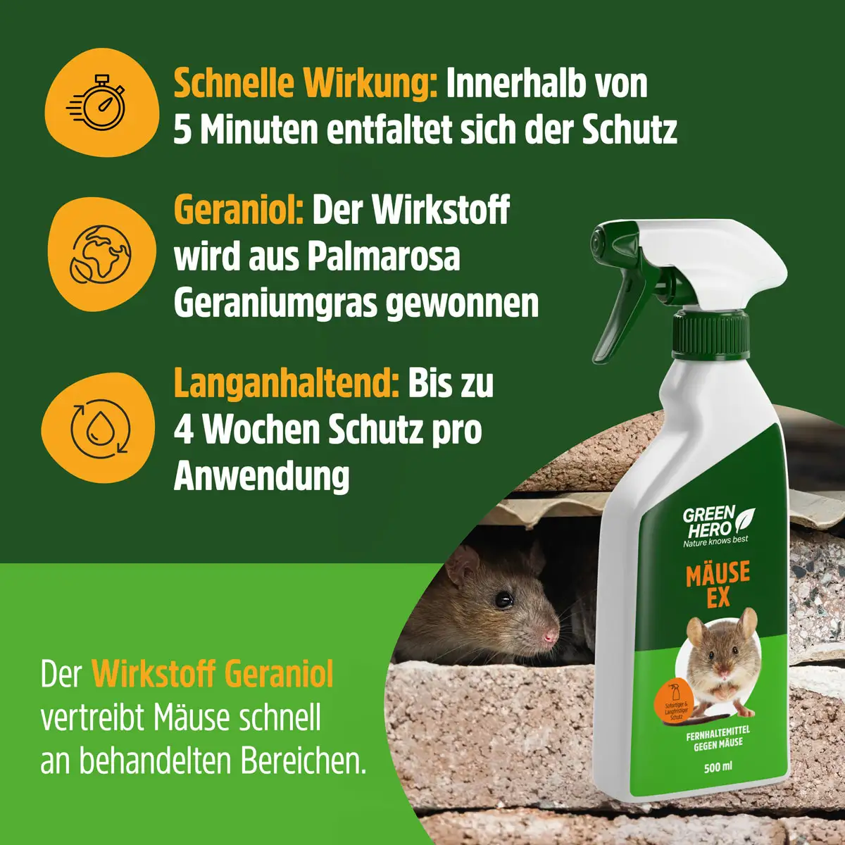 GreenHero® Mäuse-Ex Spray zur Mäuseabwehr GreenHero® Mäuse-Ex Spray zur Mäuseabwehr