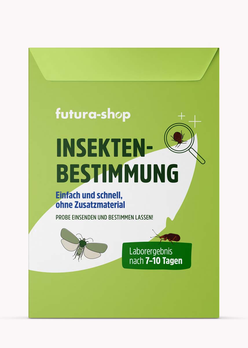 Insektenbestimmung - Welchen Schädling haben Sie zu Hause?